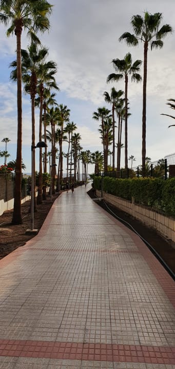 Ausblick Hotel Riu Arecas - Adults only