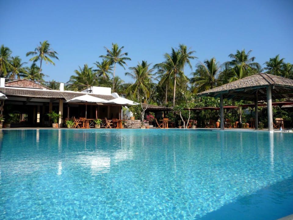 Pool mit Terrasse Hotel Palm Beach Resort