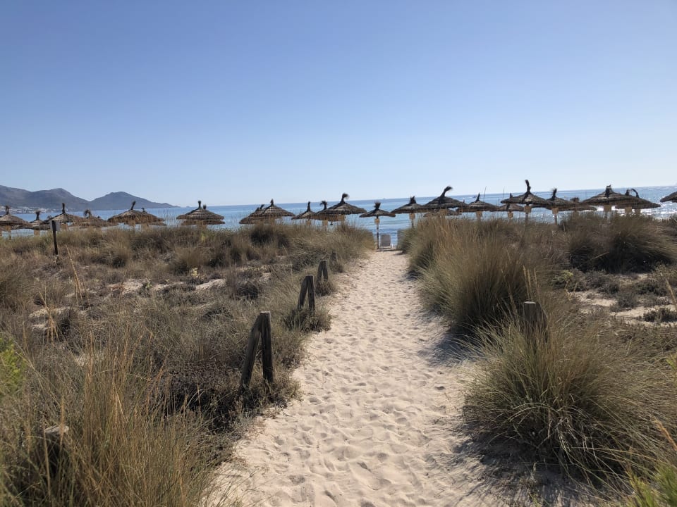 Strand Grupotel Natura Playa
