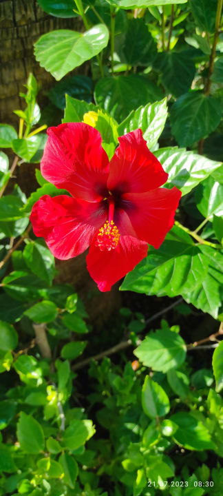 Gartenanlage Belek Beach Resort Hotel