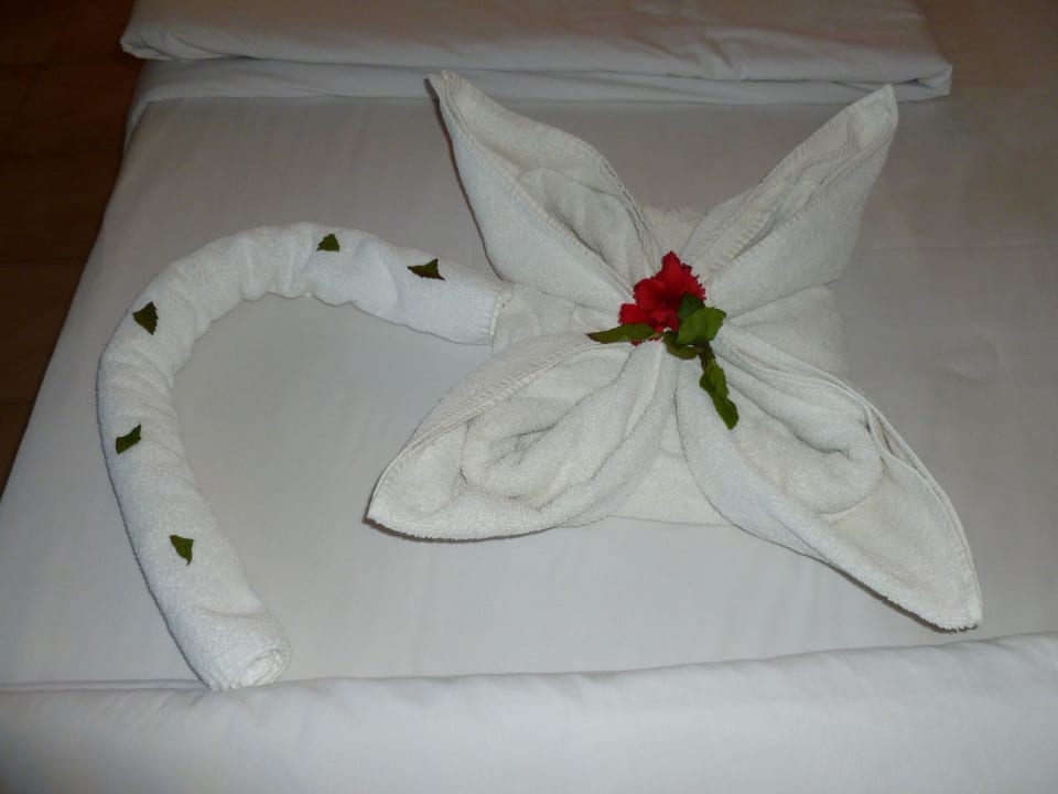 Schöne Bettdeko Ghazala Beach