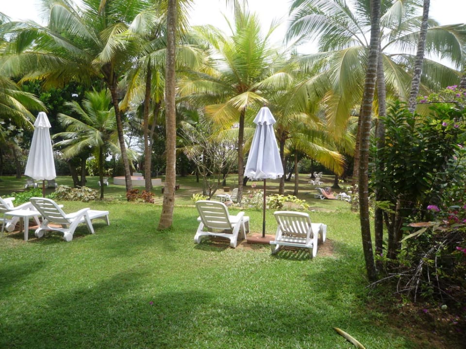Viel Platz zum Relaxen Hotel Lanka Princess Ayurveda