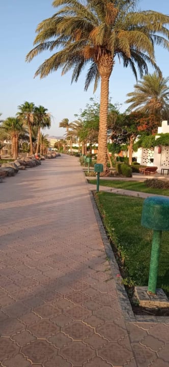 Gartenanlage Shams Safaga Resort