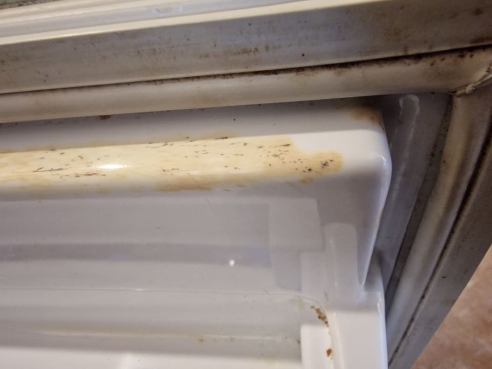 Zimmer Pickalbatros Citadel Resort