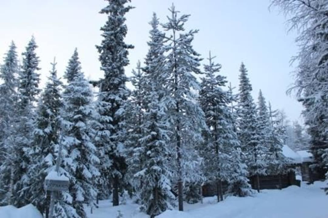 Внешний вид Blockhaus Kepakko