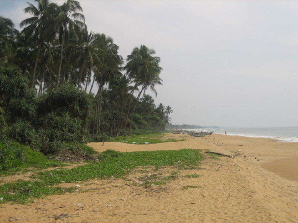 Rechts vom Hotel Mermaid Hotel & Club