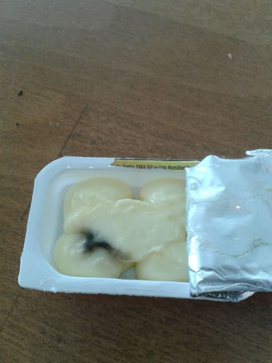 Butter neu geöffnet Asteria Family Resort Side