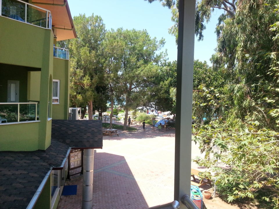 Wyjście z budynku E Lonicera Resort & Spa Hotel