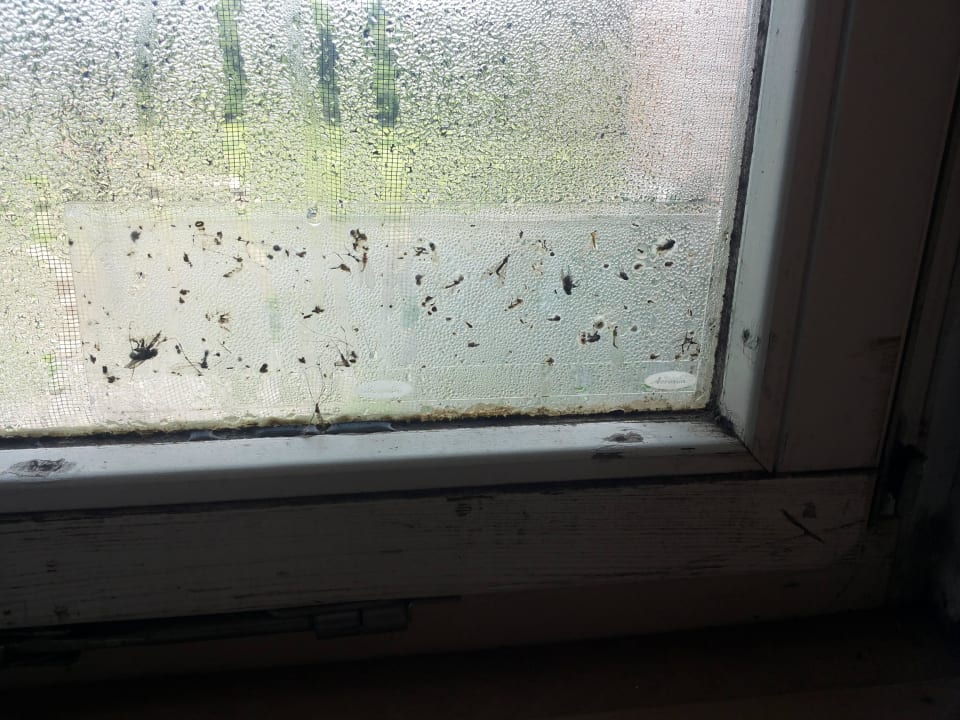 Fenster Kinderzimmer Ferienanlage Reiterhof Pilger