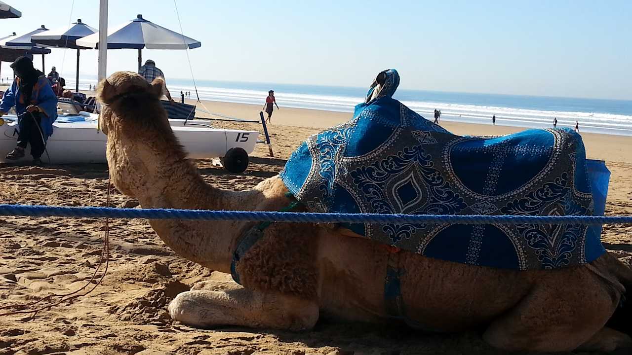 Strandbesucher Dunes D'or Ocean Club
