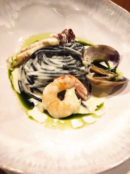 Gastro Acanthus Cennet Barut Collection