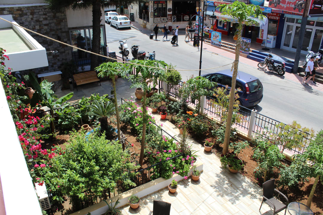 Ausblick Hotel Malia Holidays