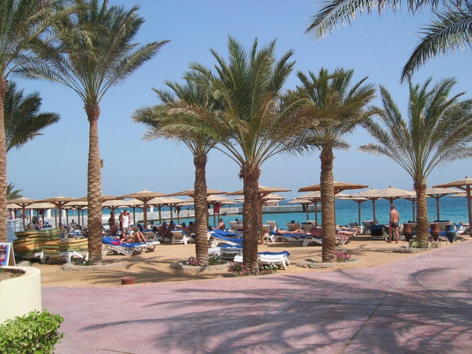 Zum Strand Palm Beach Resort