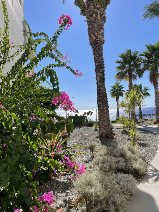 Gartenanlage Rodos Princess Beach Hotel & Spa