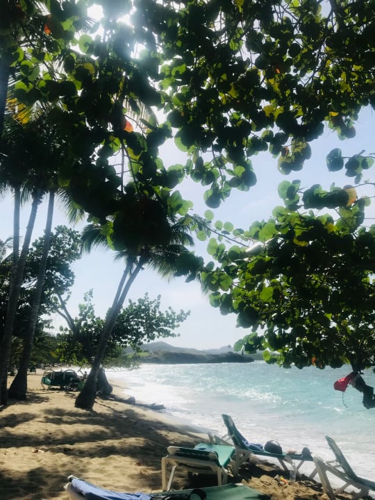 Strand Playabachata Hotel