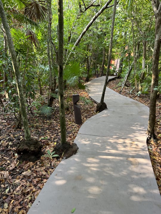 Gartenanlage Catalonia Playa Maroma