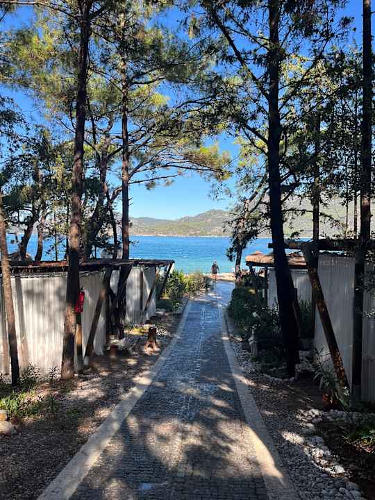 Strand Liberty Lykia Adults Only