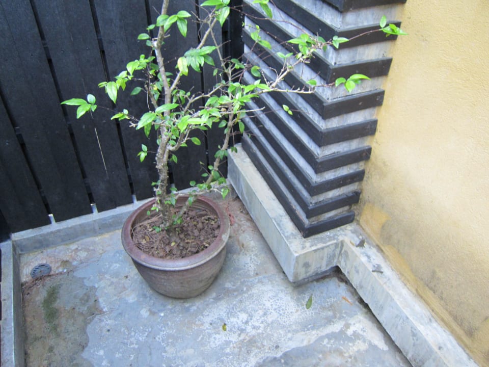 Außendusche Moracea by Khao Lak Resort