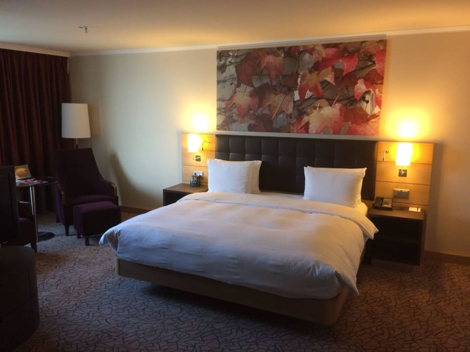 Zimmer 1 Hilton Mainz