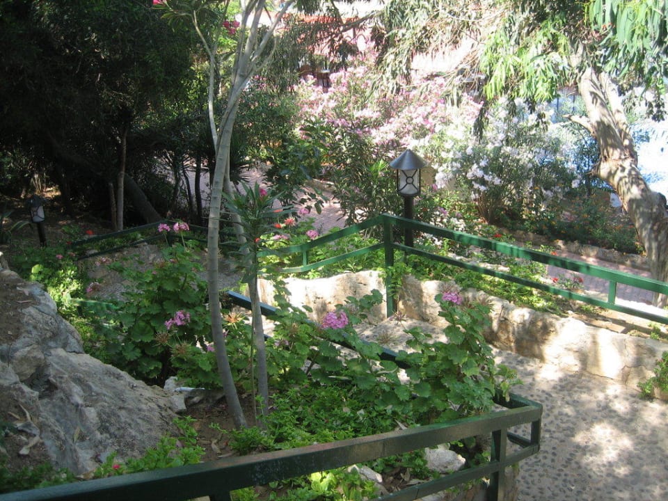 Weg zum Strand Hotel Merit Crystal Cove