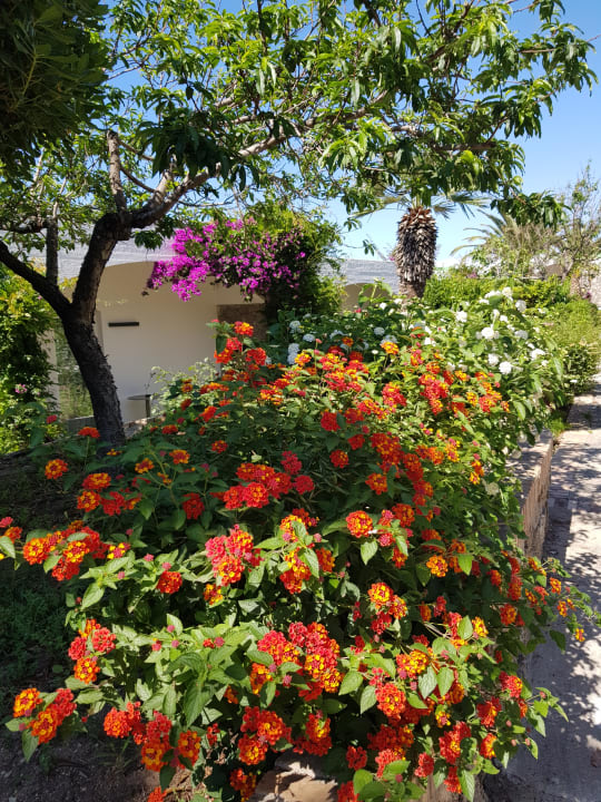 Gartenanlage Aldiana Club Rocca Nettuno Calabria