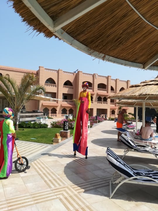 Pool Pickalbatros Aqua Vista Resort - Hurghada
