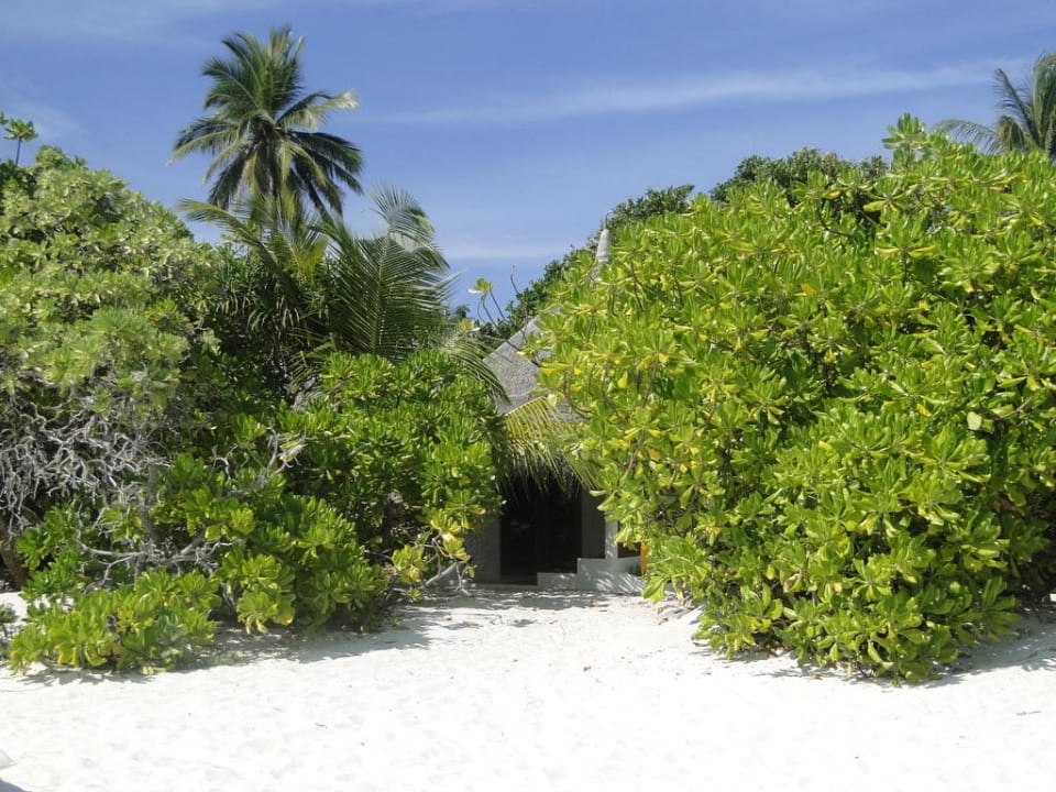 Ausblick vom Strand zu den Strandbungis Angaga Island Resort