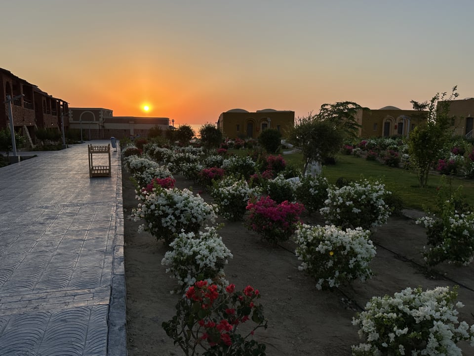 Außenansicht Pickalbatros Villaggio Resort - Portofino