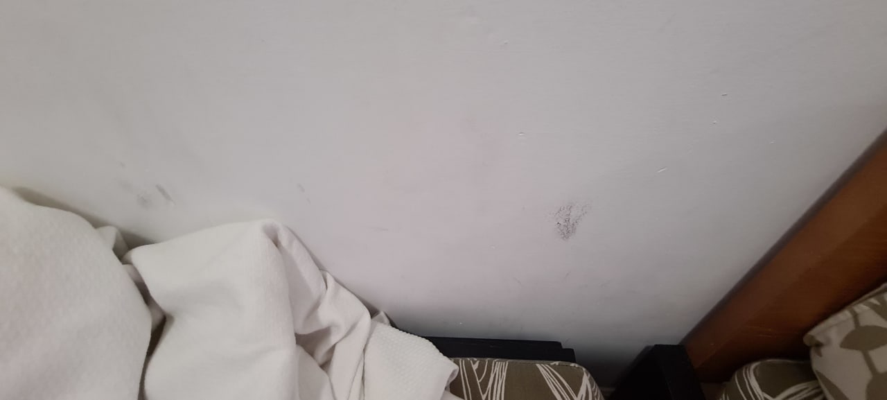 Zimmer HL Miraflor Suites Hotel