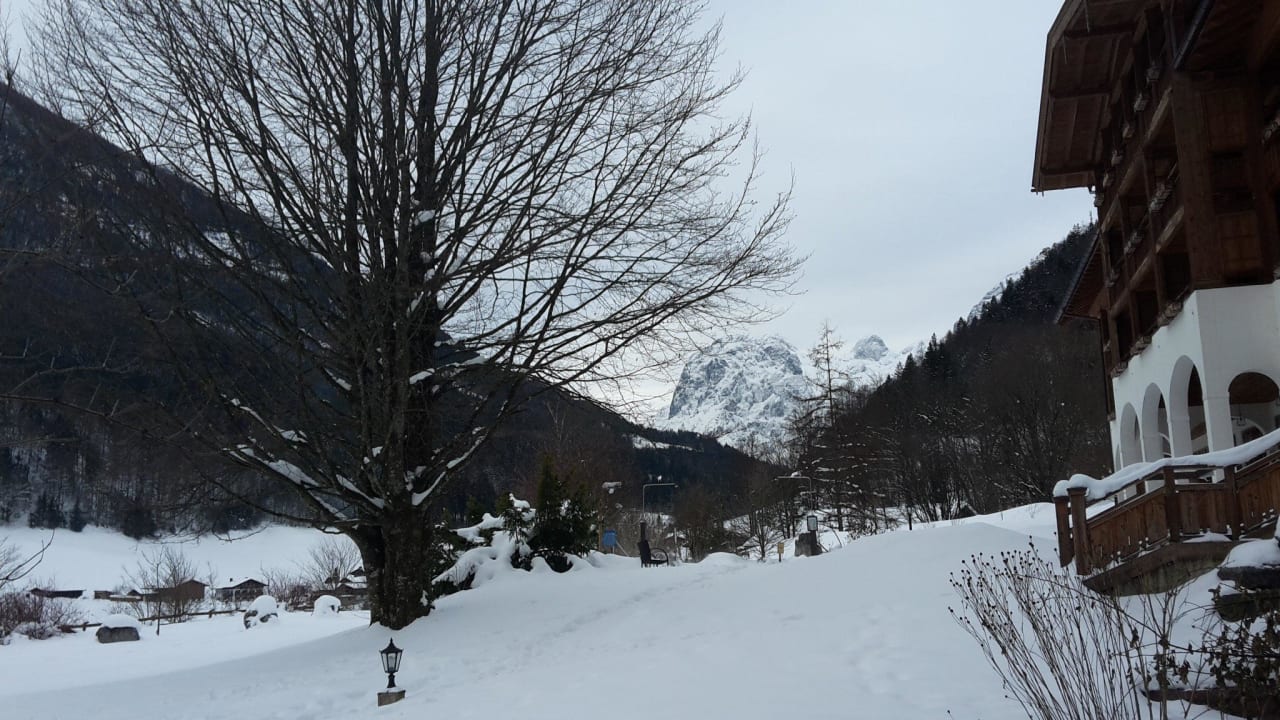 Blick aus dem Zimmer im Gästehaus Berghotel Rehlegg