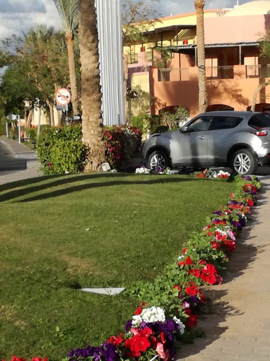 Gartenanlage Jaz Makadi Saraya Resort