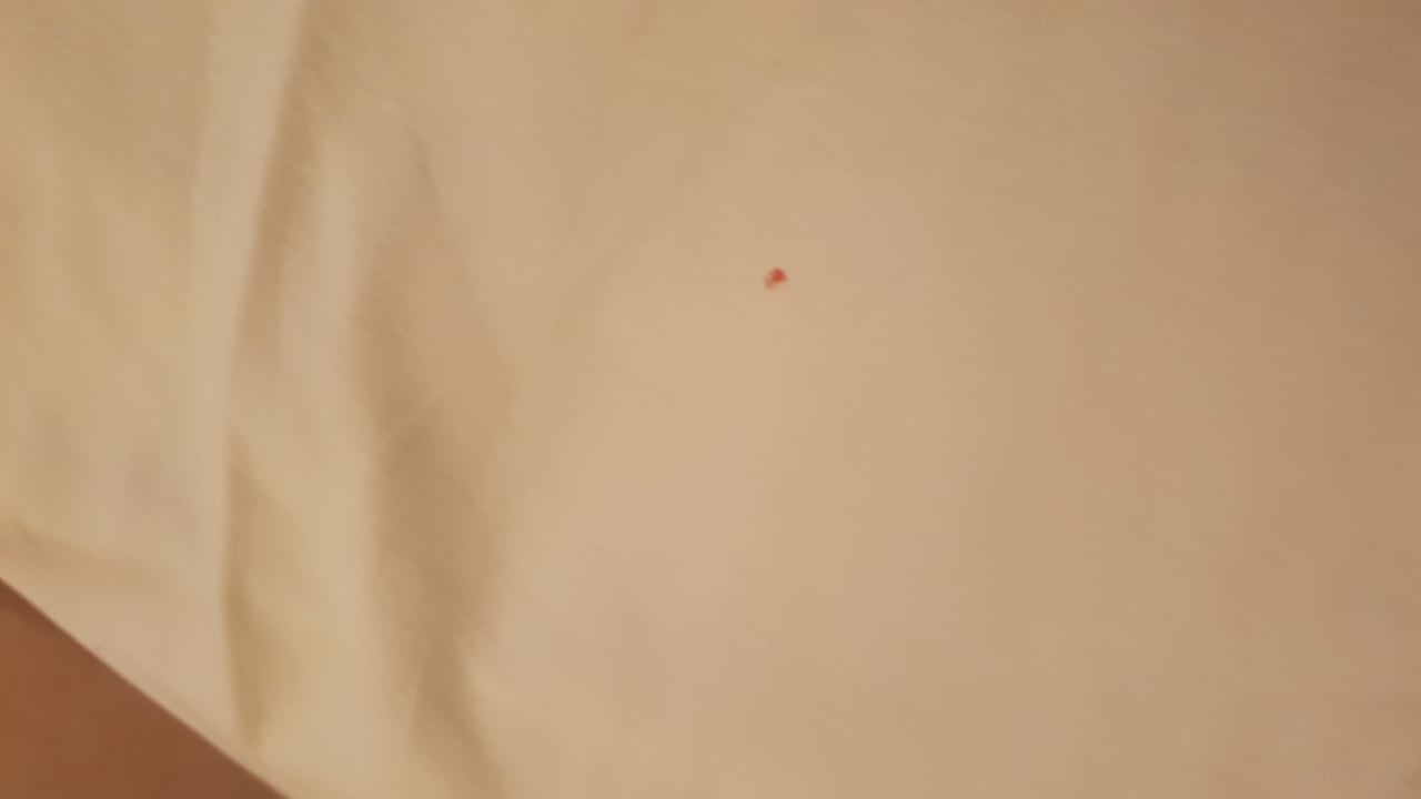 Zimmer Salmakis Resort & Spa