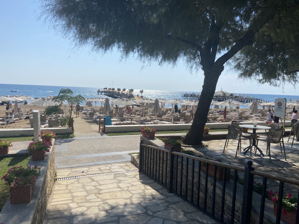 Strand Arum Barut Collection