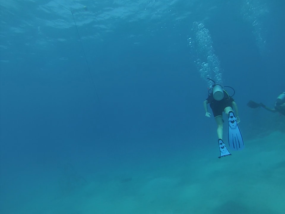 Sport & Freizeit Cleopatra Luxury Resort Makadi Bay