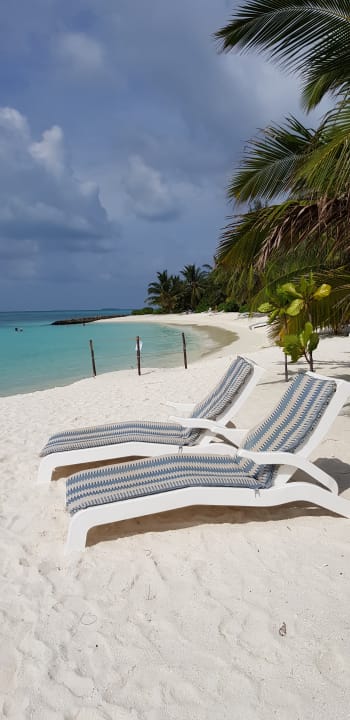 Strand Summer Island Maldives