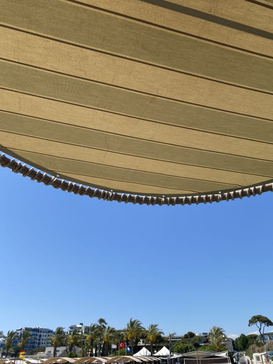 Ausblick Papillon Ayscha