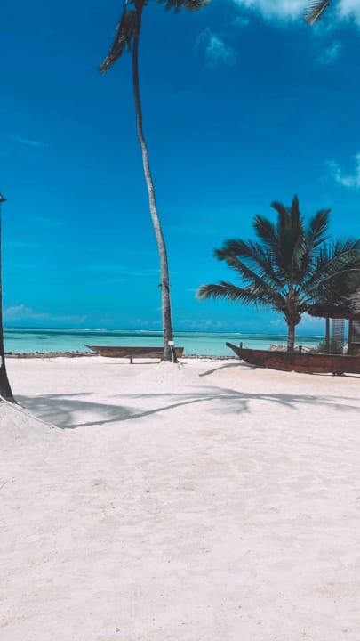Strand TUI Blue Bahari Zanzibar