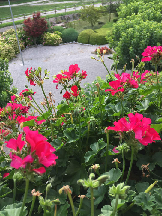 Ausblick Hotel Willy