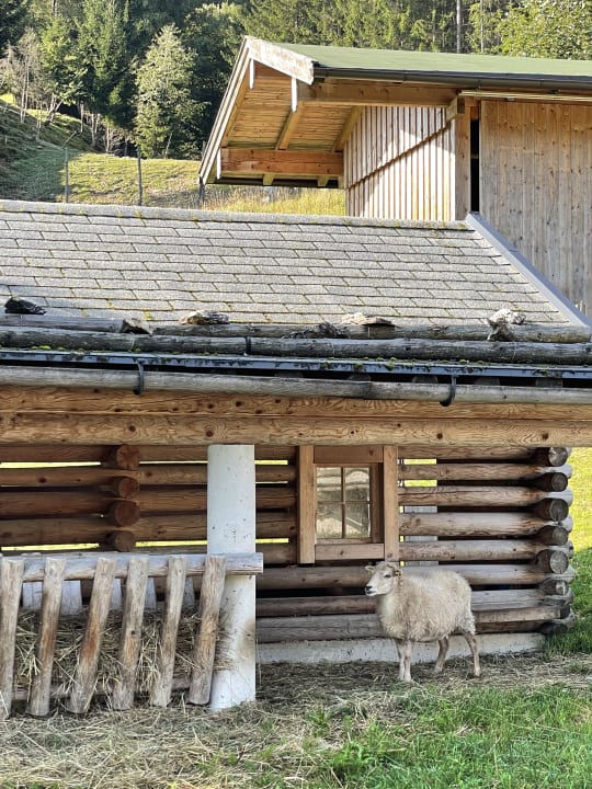 Außenansicht Naturhotel Forsthofgut