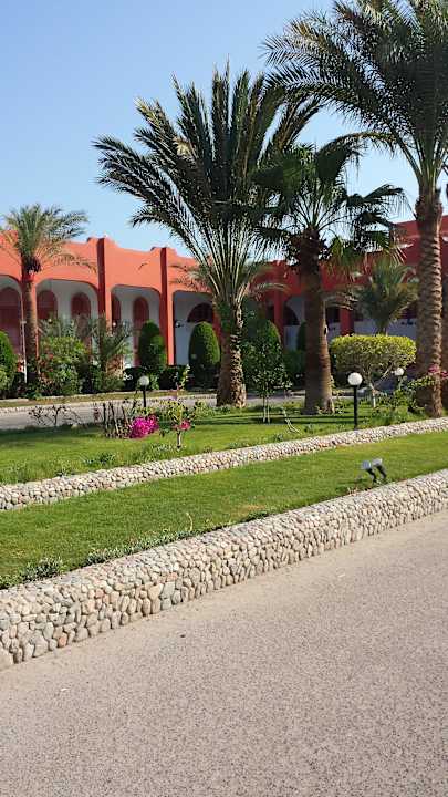 Garten Arabia Azur Resort