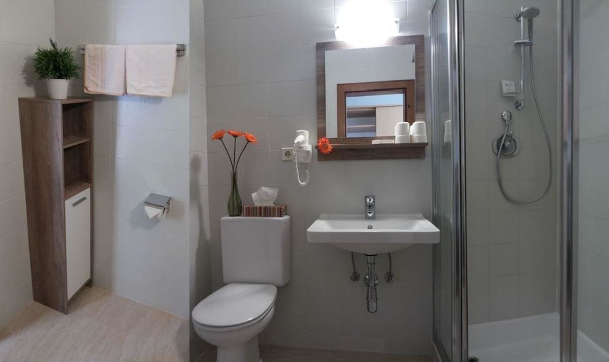 Dusche mit WC Apartments Mooshof