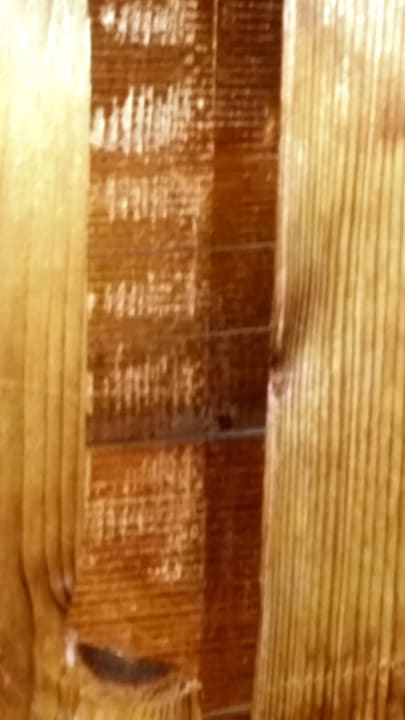 Sauna Ringhotel Nebelhornblick