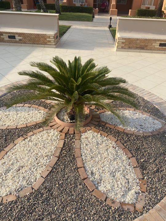 Sonstiges Jaz Makadi Oasis Resort