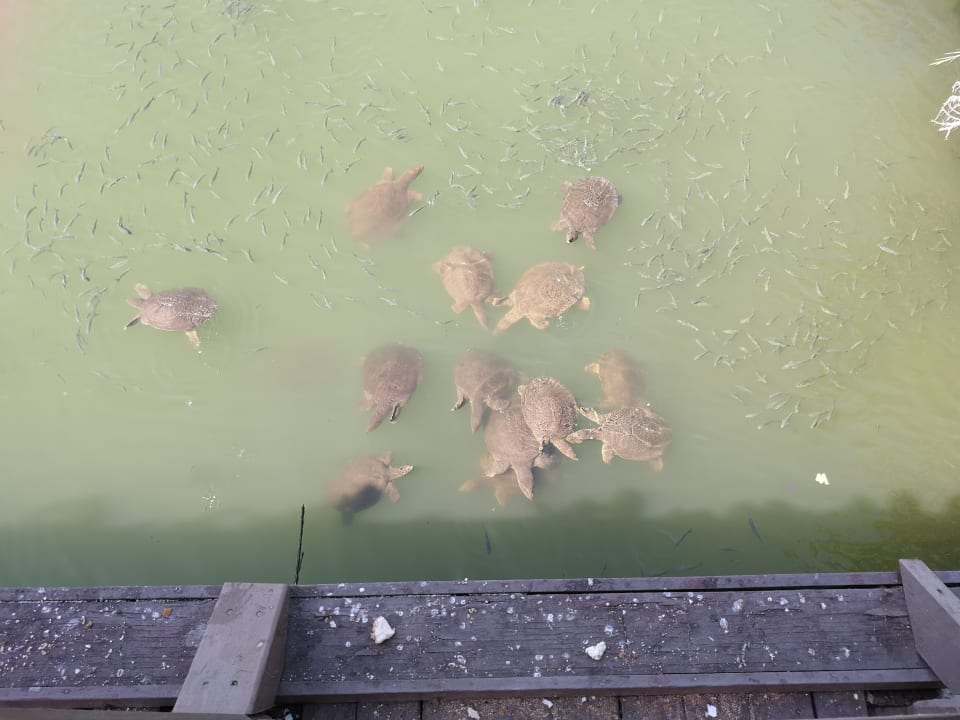 Strand Side Aquamarin Resort & Spa