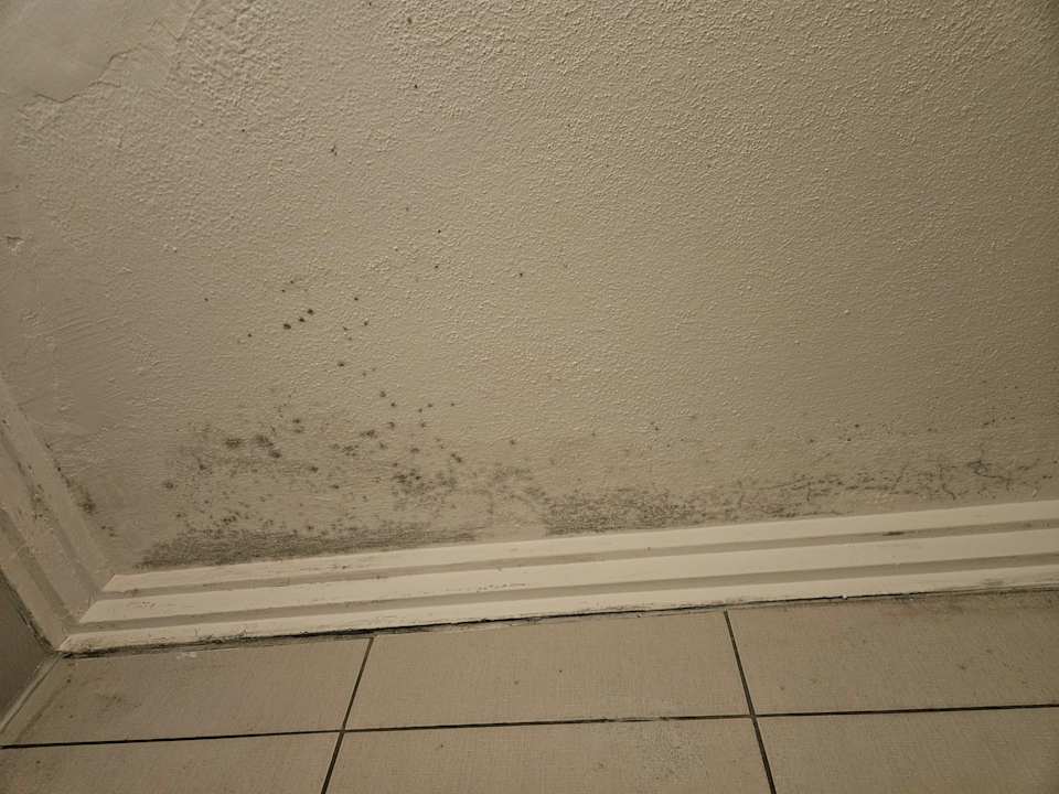 Zimmer Kamelya Aishen Club