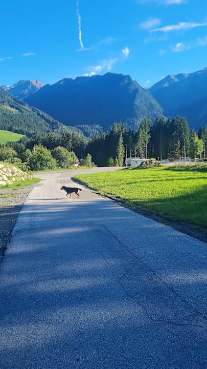 Ausblick Naturdorf Oberkühnreit
