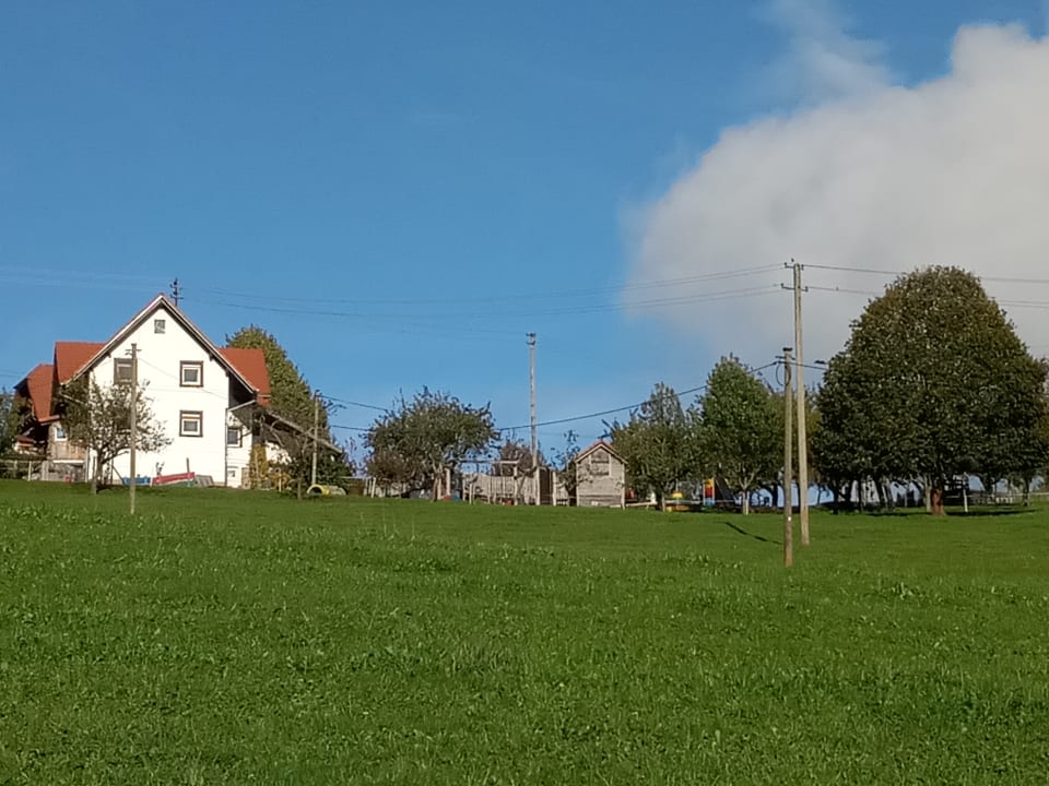 Ausblick Ferienwohnungen Grub-Daniel-Hof