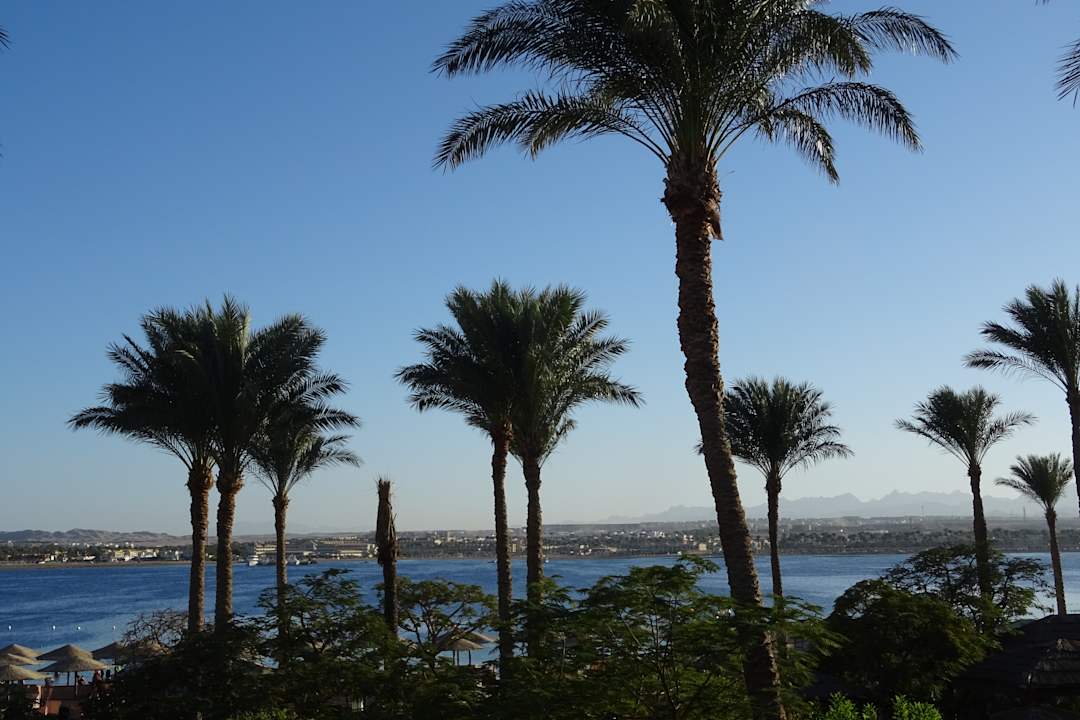 Ausblick Makadi Palace
