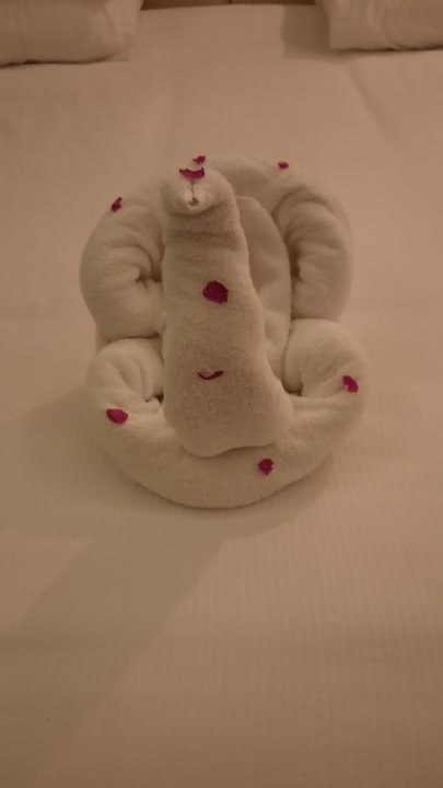 Zimmer Pickalbatros Royal Moderna Resort-Sharm El Sheikh