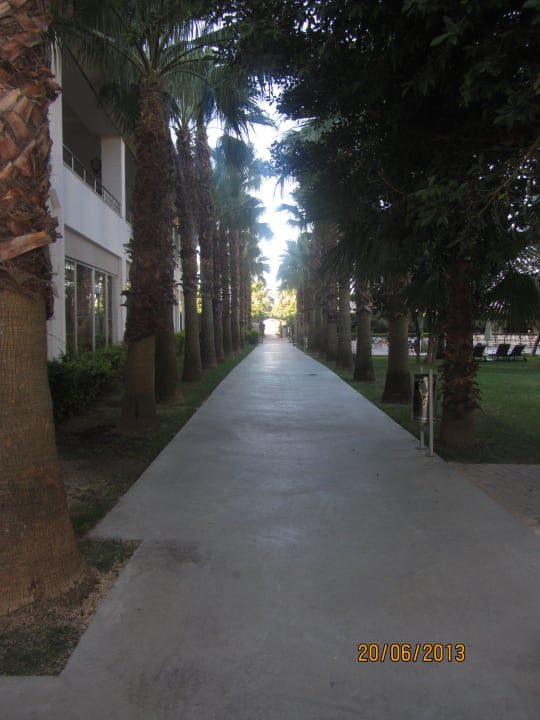 Аллея, ведущая на пляж Hotel Royal Garden Beach